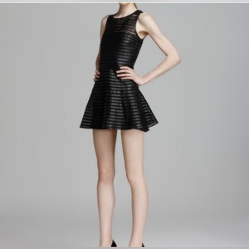 Parker Black Leather Mesh Mini Dress